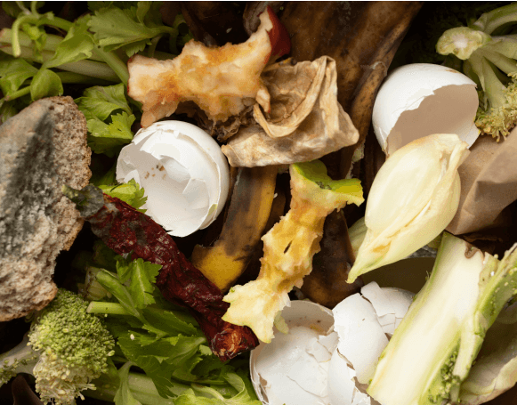 organic waste image